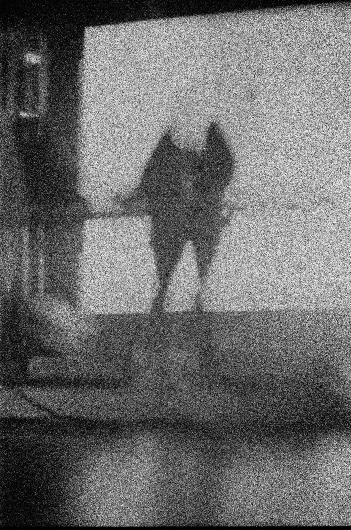 Big Festival 4/12/25