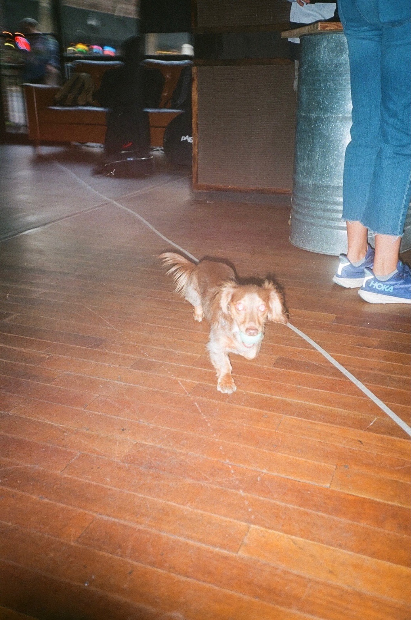 Supernova Runway 4/27/24