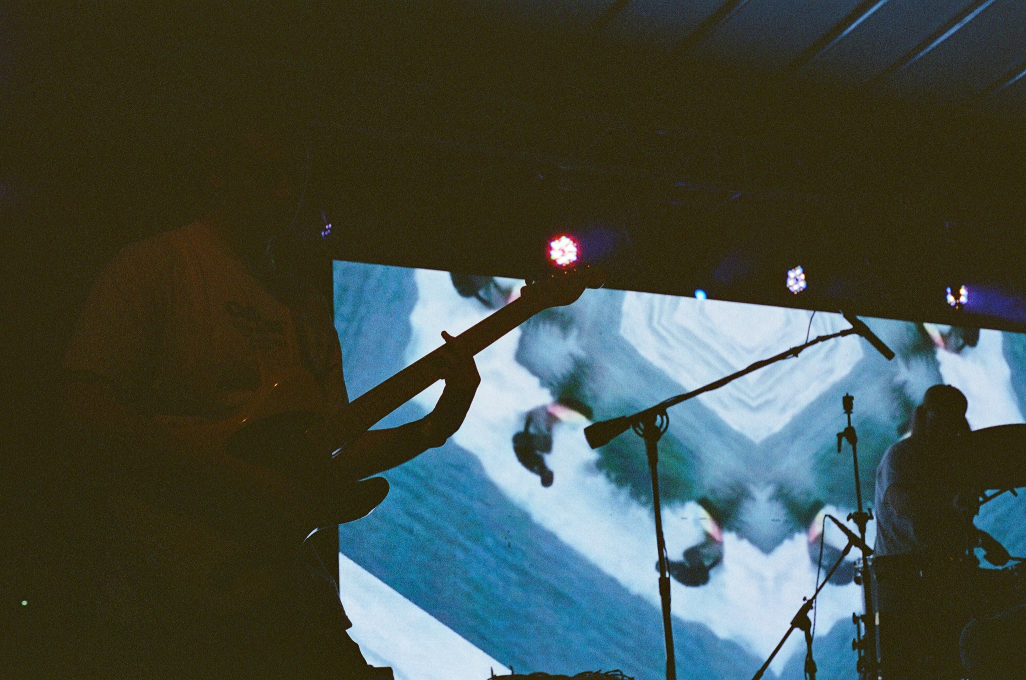 Swamp Showcase 4/25/25