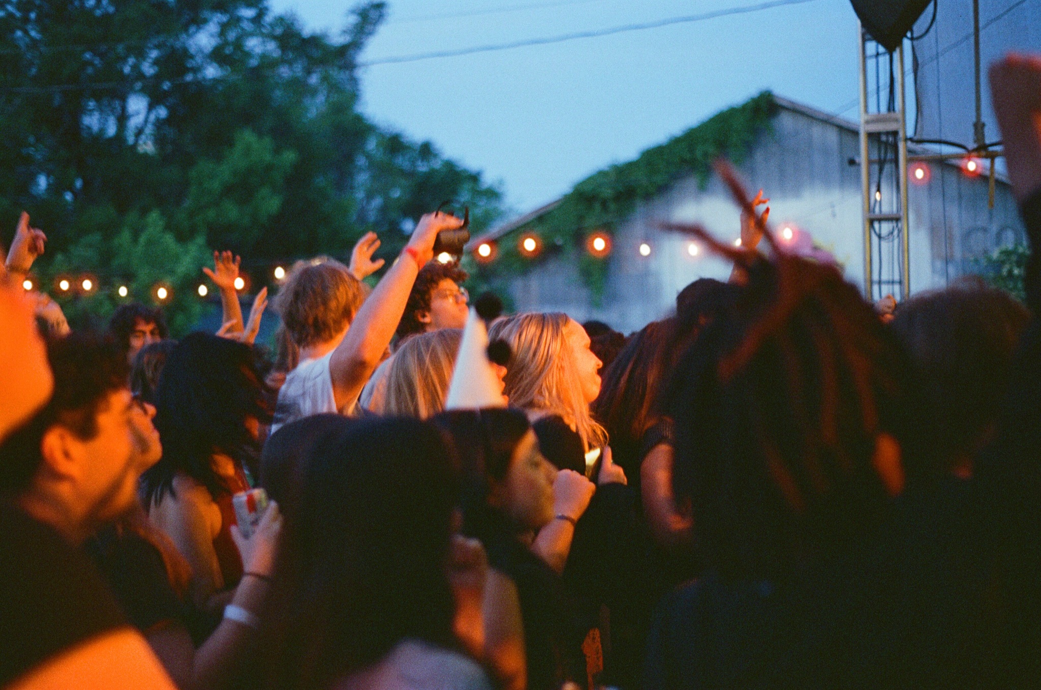 Swamp Showcase 4/25/25