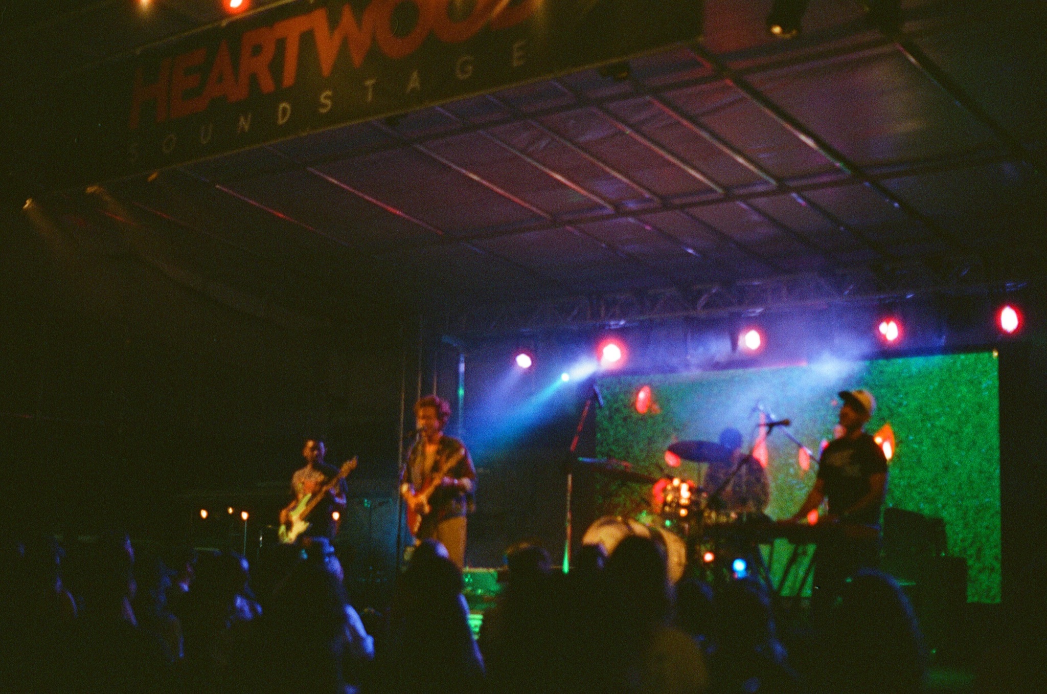 Swamp Showcase 4/25/25