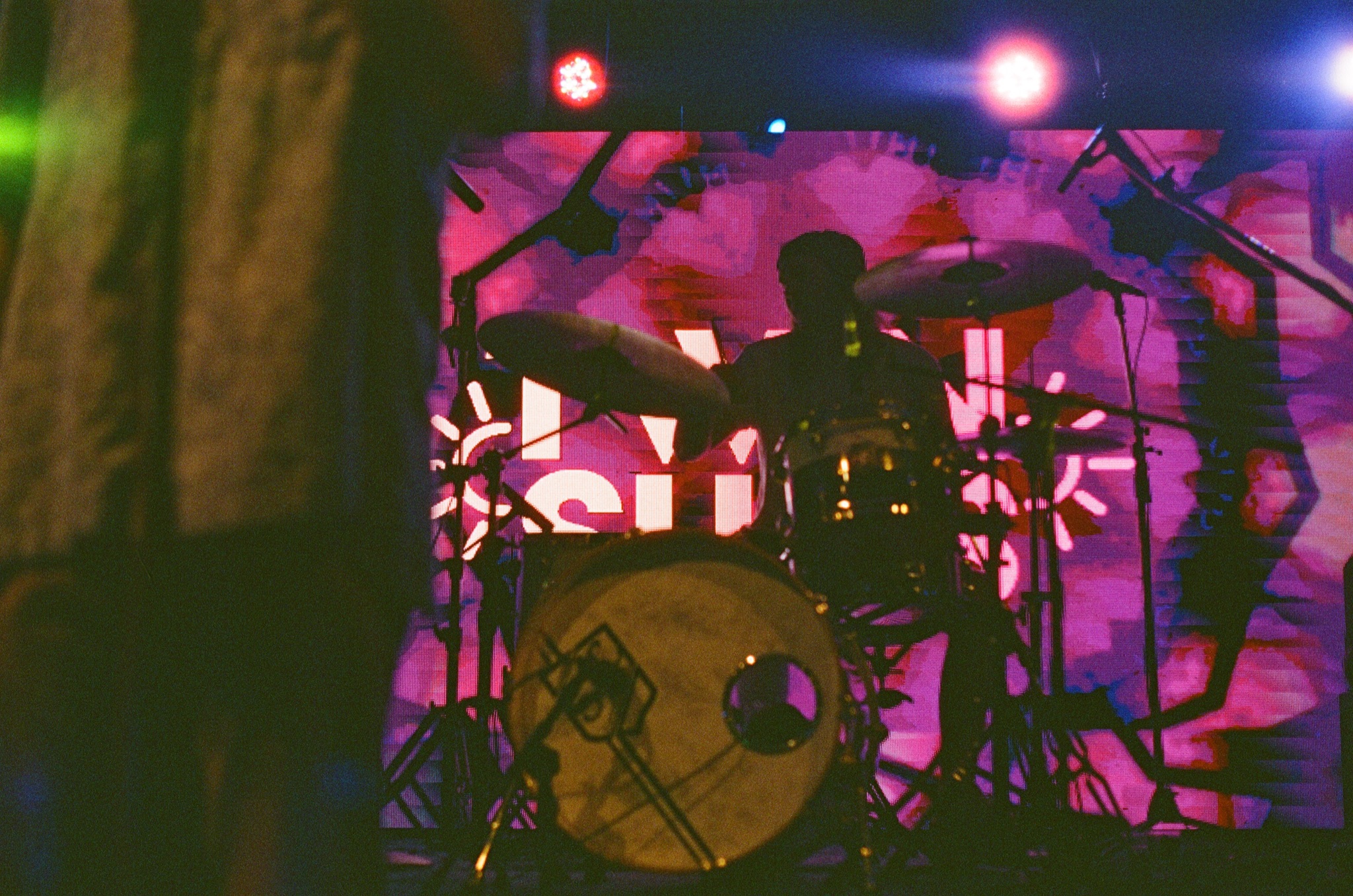 Swamp Showcase 4/25/25